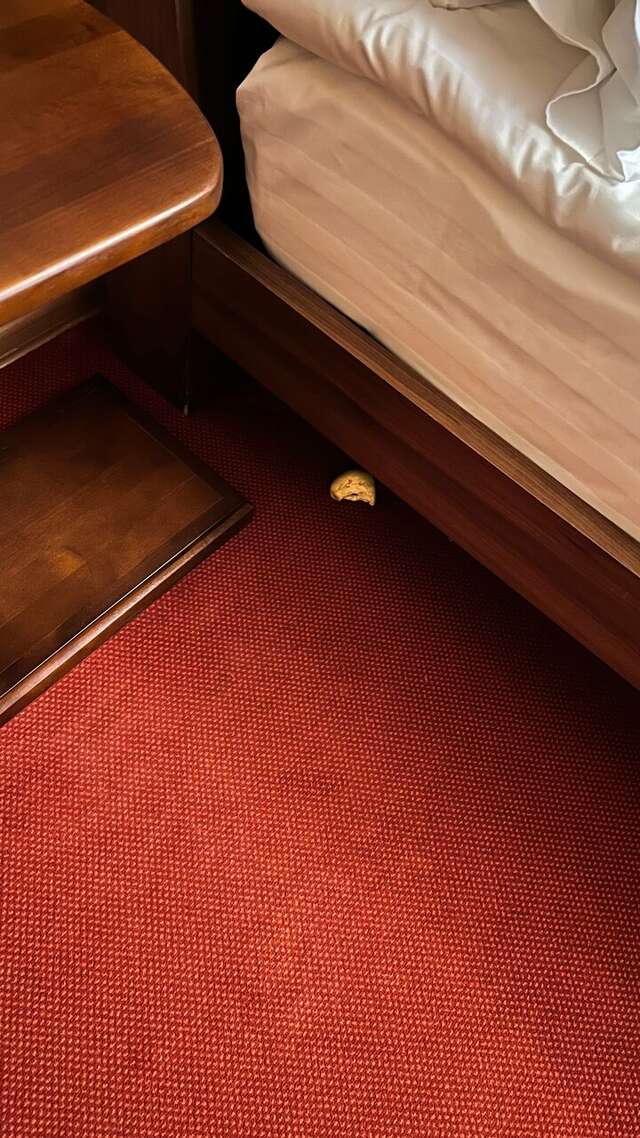 Гостиница Заречье Барнаул-234